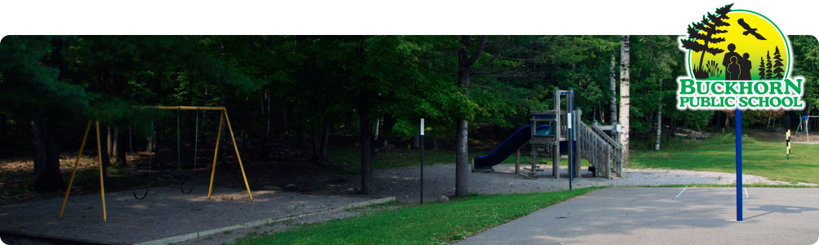 This is a picture of our school yard playground.