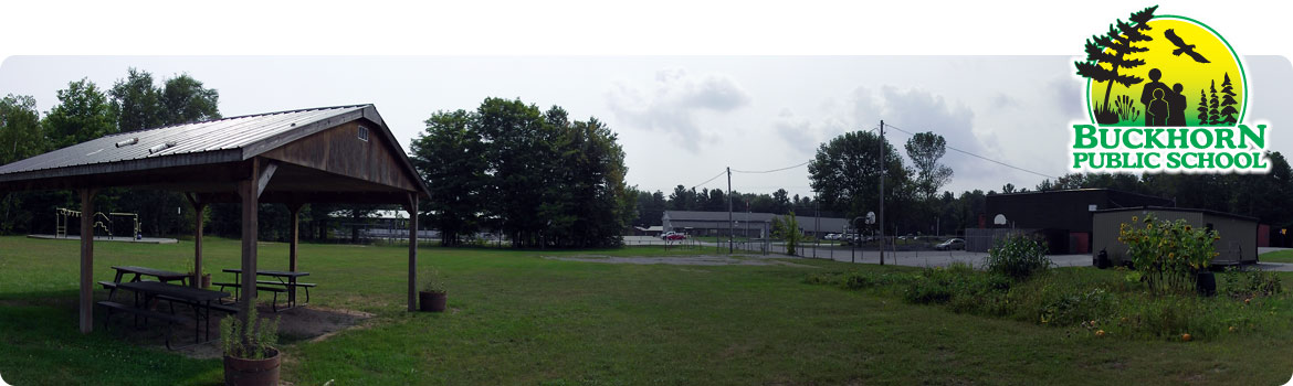 This is a picture of our school yard garden and sun shelter.